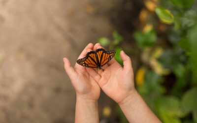 FLUTTERING INTO GROWTH: WHAT BUTTERFLIES TEACH CHILDREN ABOUT LIFE