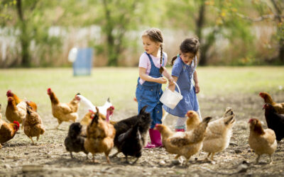 HANDS IN THE EARTH, HEARTS IN THE MOMENT: WHAT FARMING TEACHES CHILDREN ABOUT LIFE