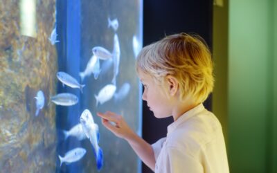 OCEANS OF WONDER: HOW SEA CREATURES INSPIRE CURIOSITY AND IMAGINATION IN CHILDREN